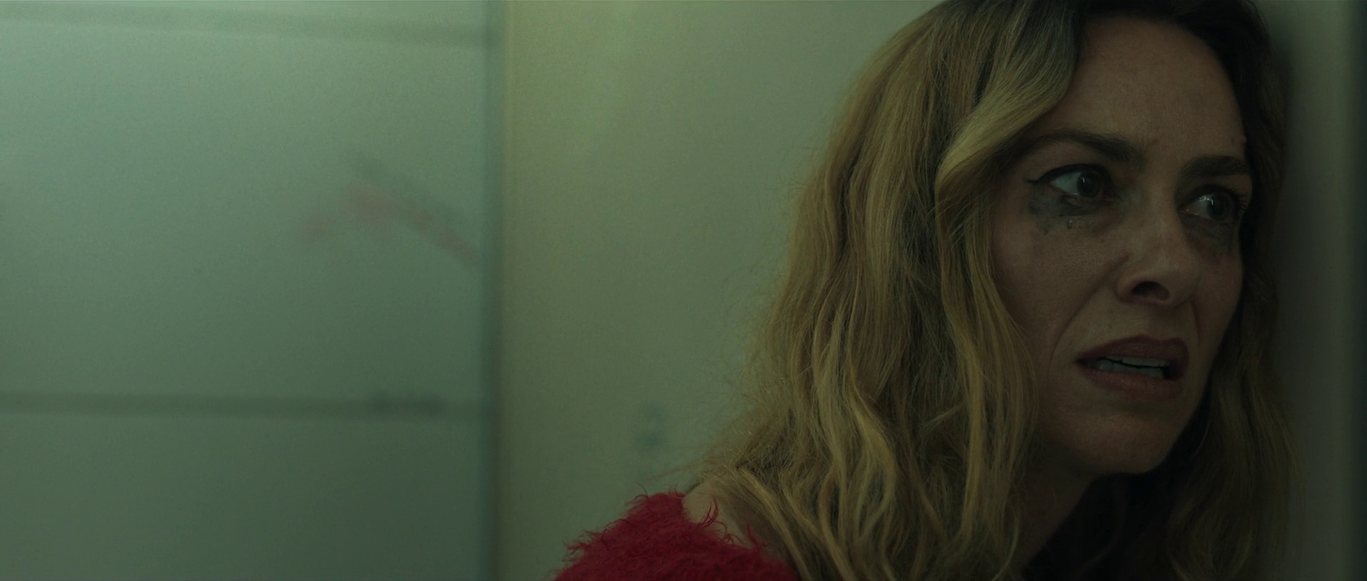 Vlcsnap.mkv-frame004503.jpg