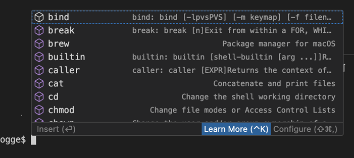Screenshot showing the Learn More action appears in the terminal suggest control status bar.