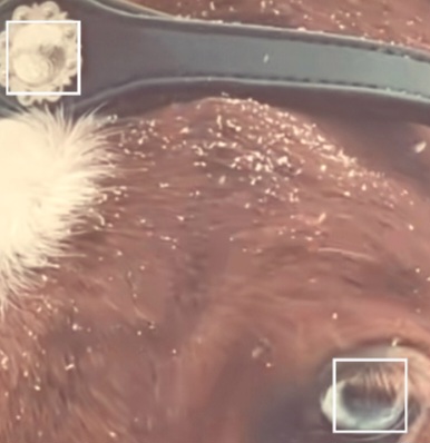 Screenshot_20260107_194116_TikTok
